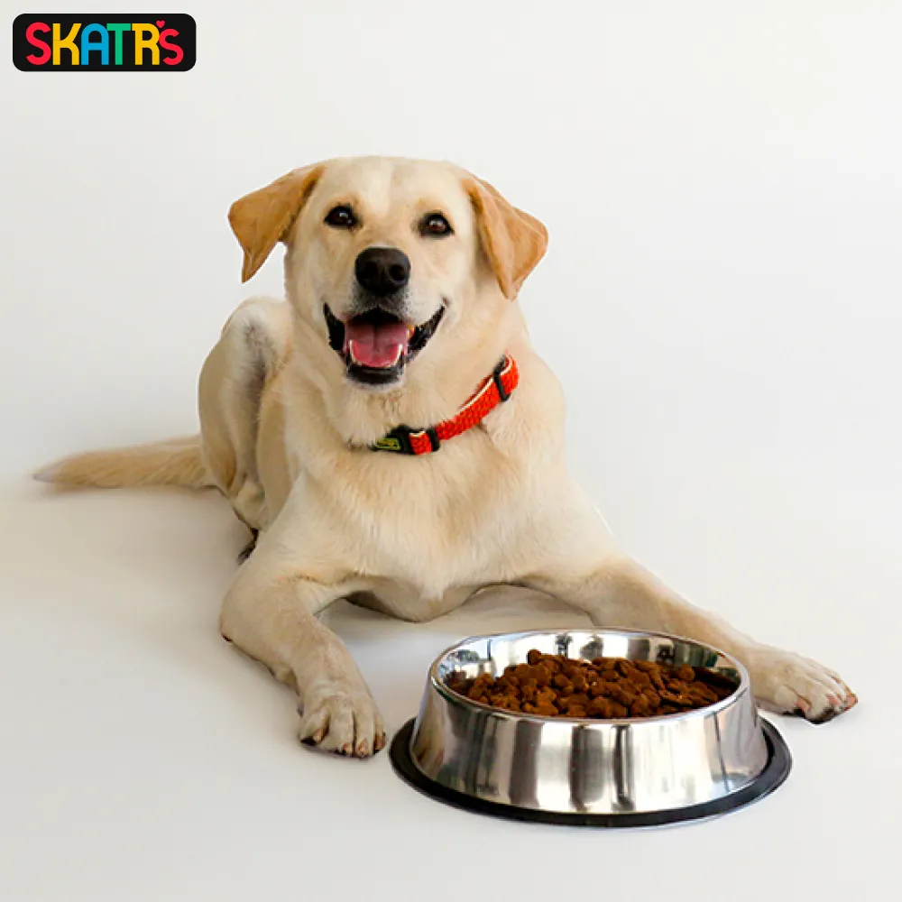 Skatrs Anti Skid Stainless Steel Bowl for Dogs and Cats Medium and Extra Large Combo
