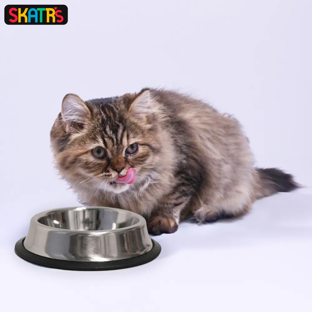 Skatrs Anti Skid Stainless Steel Bowl for Dogs and Cats Medium and Extra Large Combo