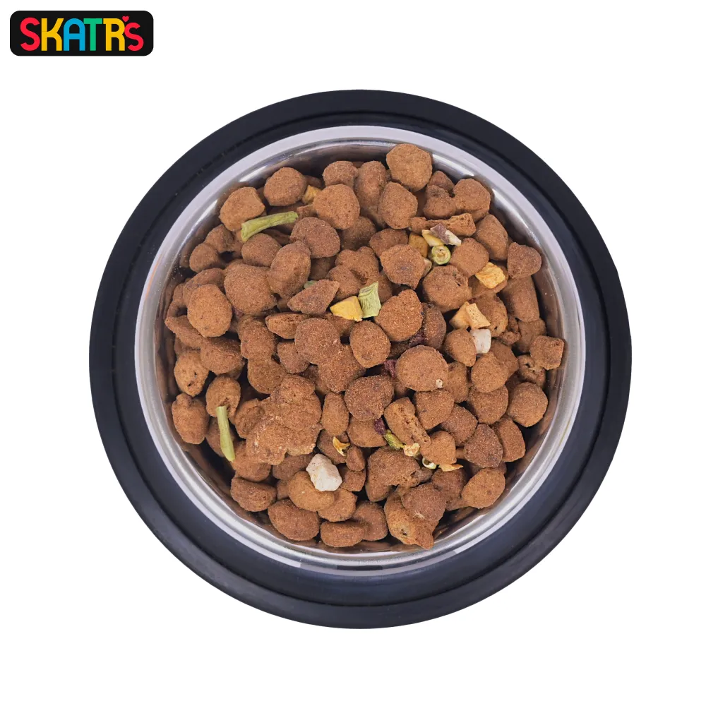 Skatrs Anti Skid Stainless Steel Bowl for Dogs and Cats Medium and Extra Large Combo