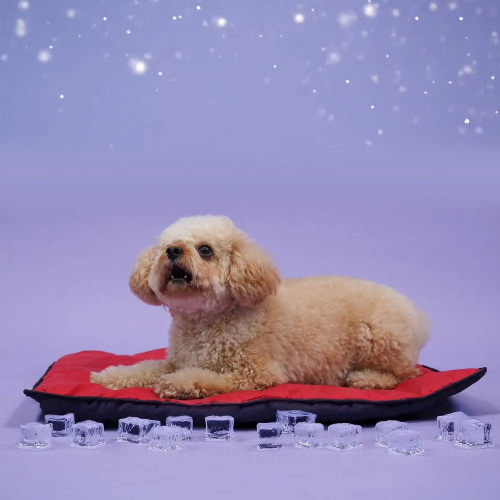 Skatrs Cooling Mat for Dogs (Red)