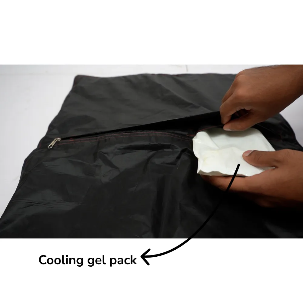 Skatrs Cooling Mat for Dogs (Red)
