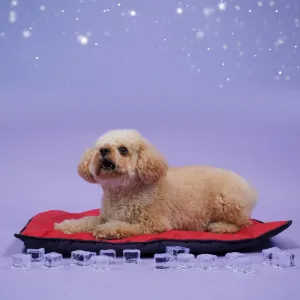 Skatrs Cooling Mat for Dogs (Red)