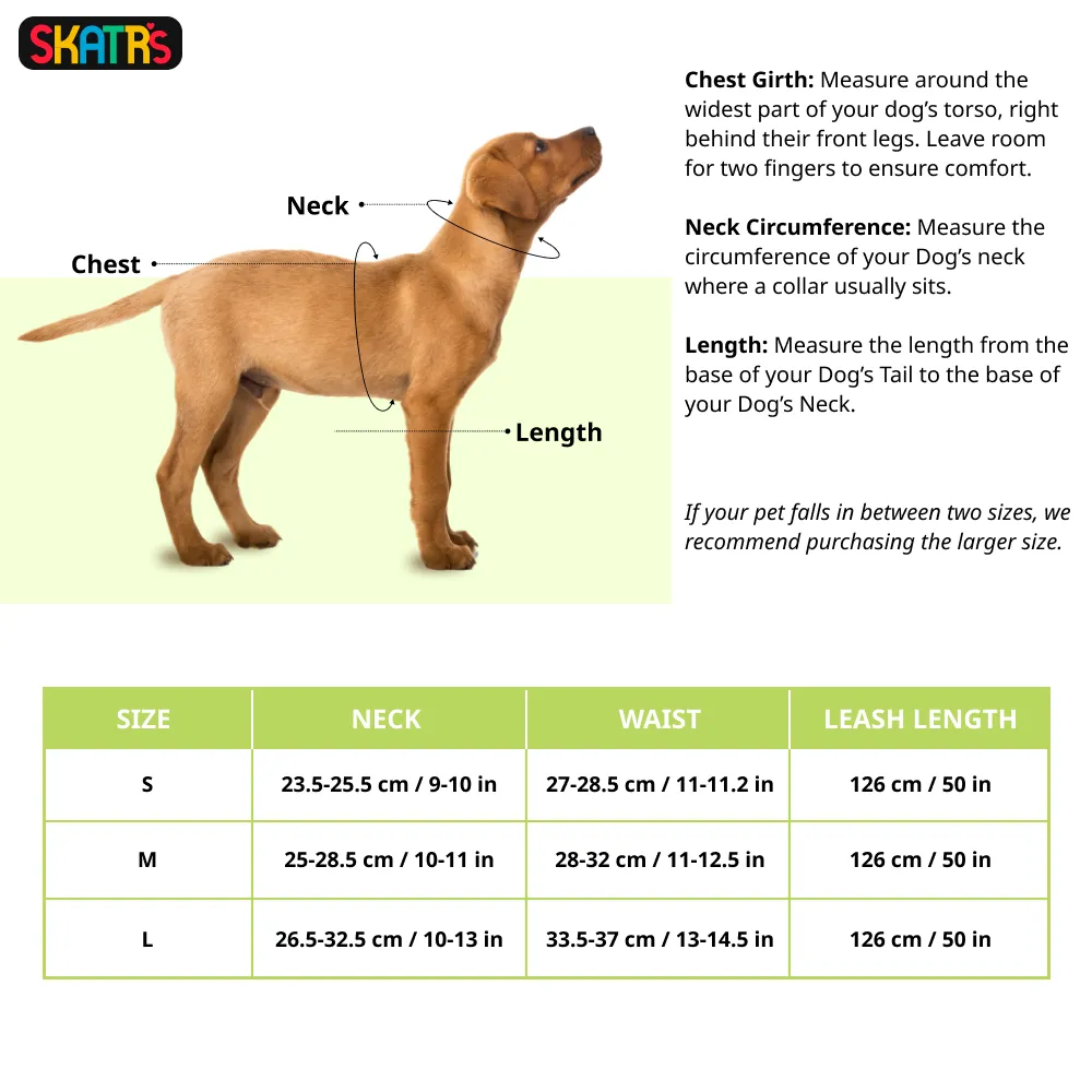 Skatrs Everyday Ready Harness & Leash Set for Small Breed Dogs & Cats (Green)