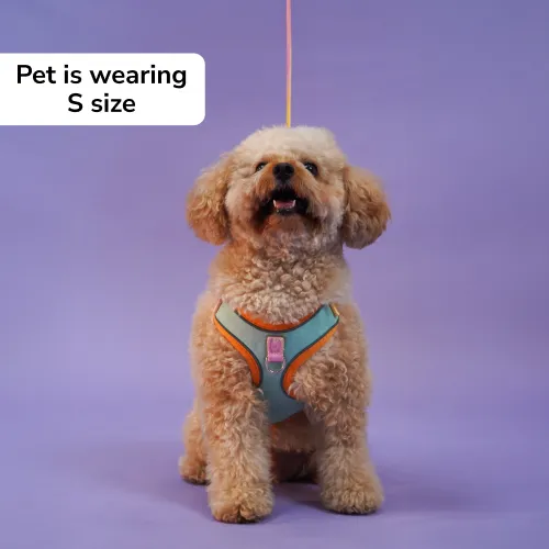 Skatrs Everyday Ready Harness & Leash Set for Small Breed Dogs & Cats (Green)