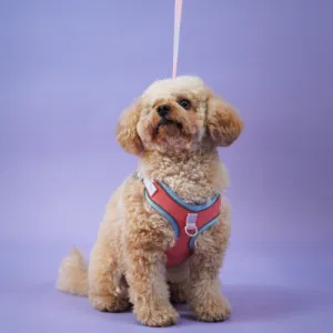 Skatrs Everyday Ready Harness & Leash Set for Small Breed Dogs & Cats (Pink)