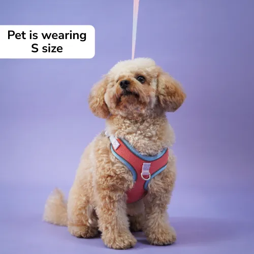 Skatrs Everyday Ready Harness & Leash Set for Small Breed Dogs & Cats (Pink)