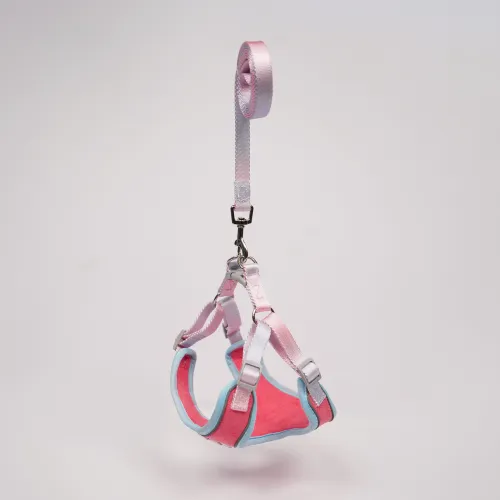 Skatrs Everyday Ready Harness & Leash Set for Small Breed Dogs & Cats (Pink)