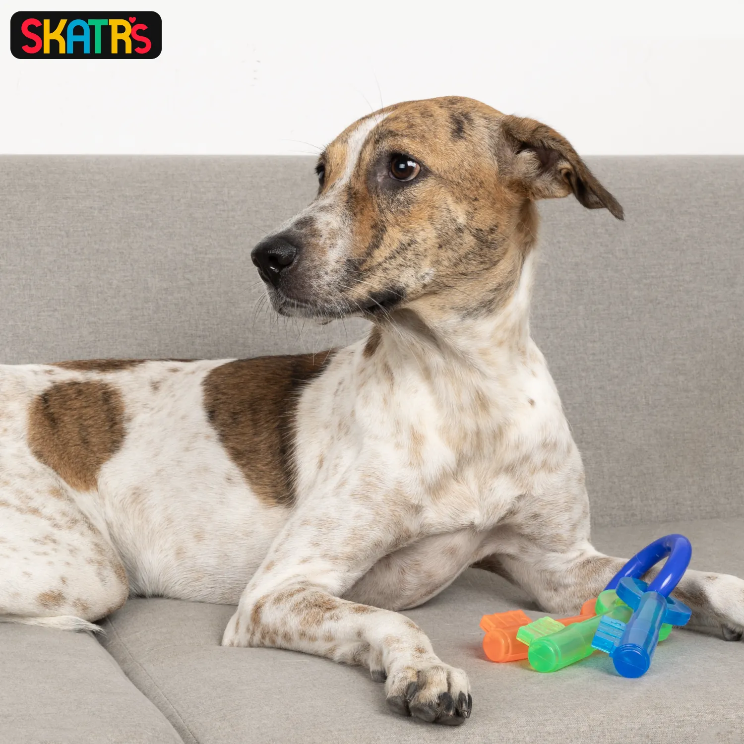 Skatrs Key Shaped Chew Teether Toy for Puppy and Dogs
