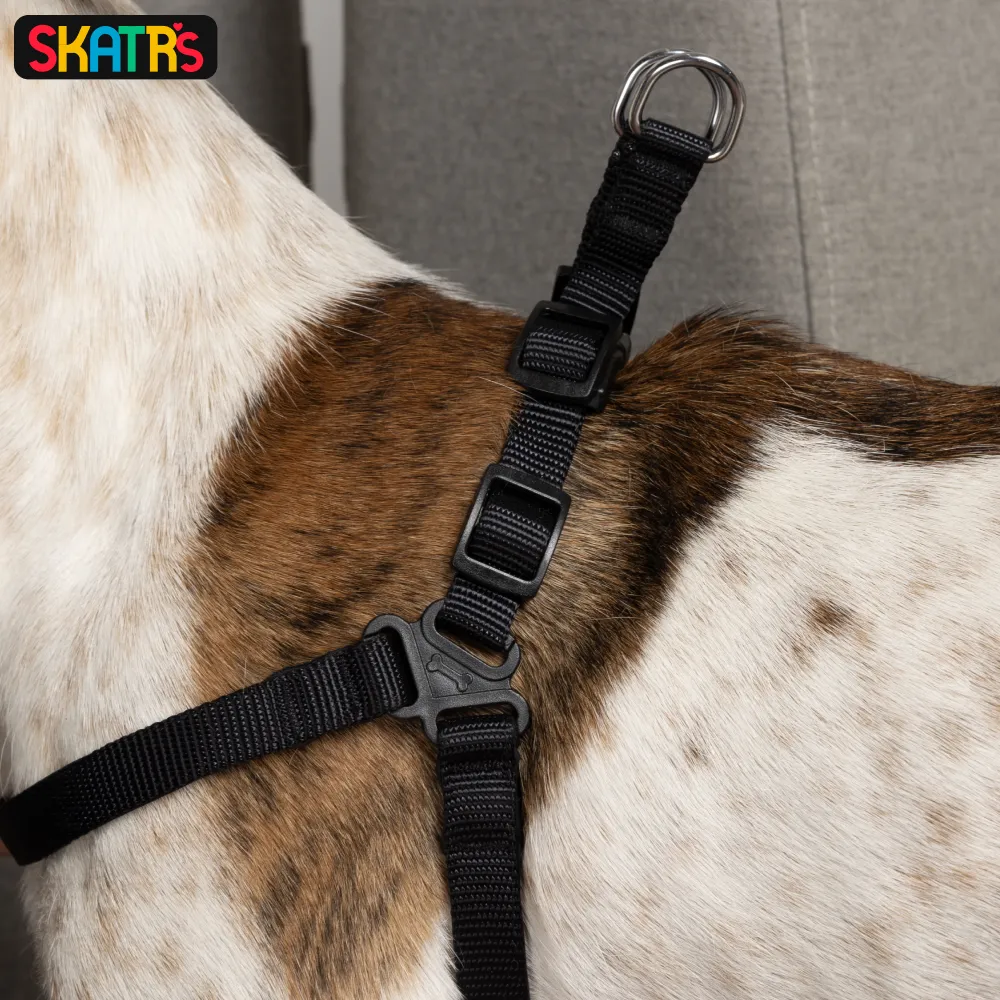 Skatrs Padded Nylon Y Harness for Dogs & Cats (Black)