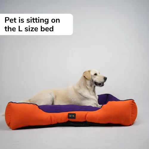 Skatrs Square Shaped bed for Dogs & Cats (Orange/Purple)