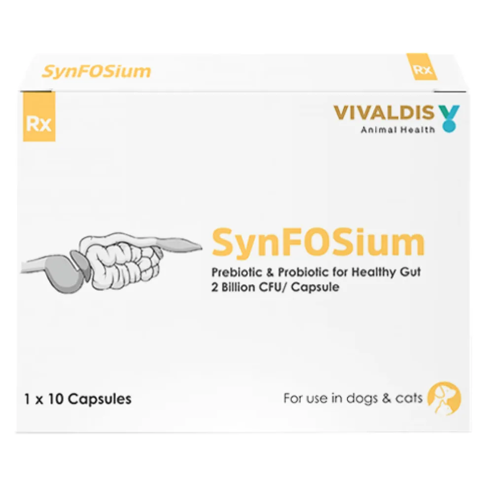 Synfosium Probiotic Capsule & Savavet Petsapp Appetite Booster Combo for Dogs & Cats