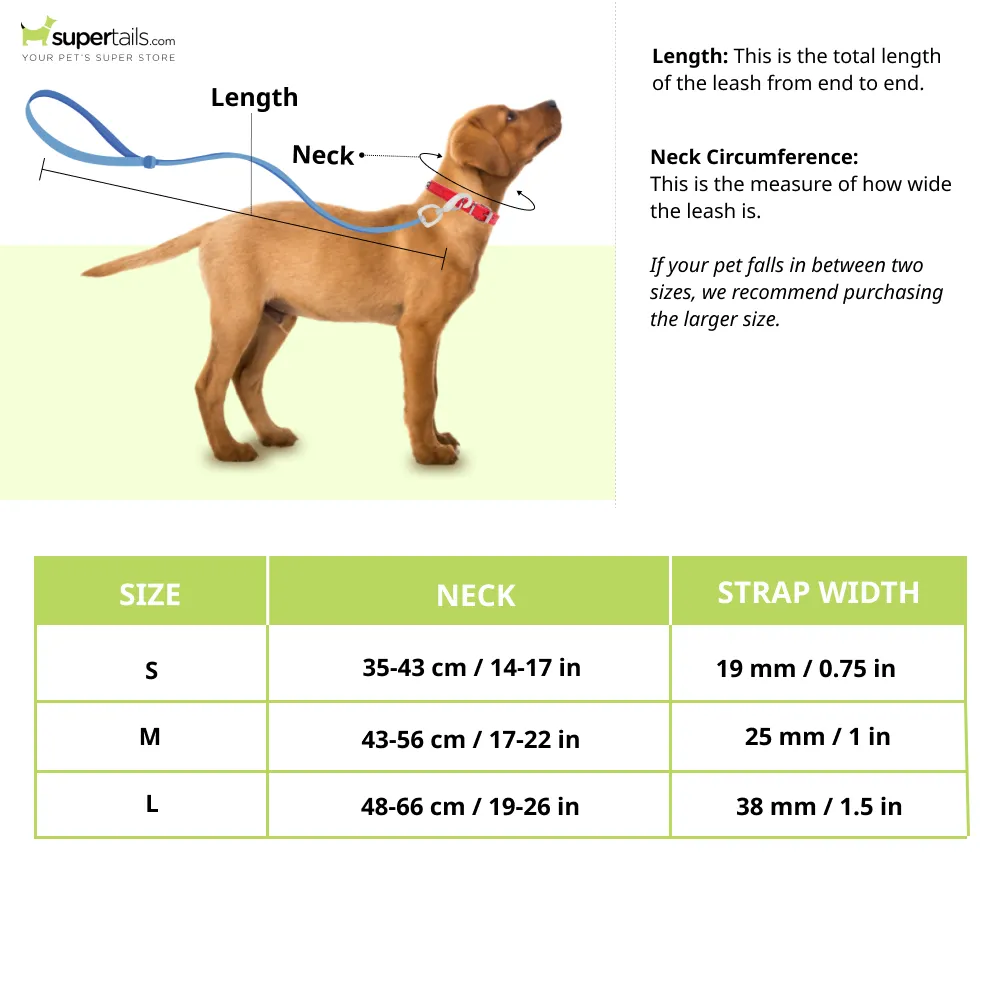 Tails to Tell Polyester Collar for Dogs (Yellow)