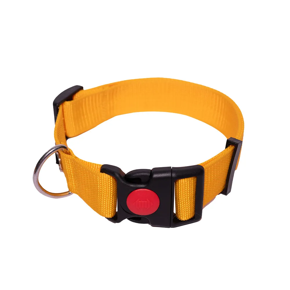 Tails to Tell Polyester Collar for Dogs (Yellow)