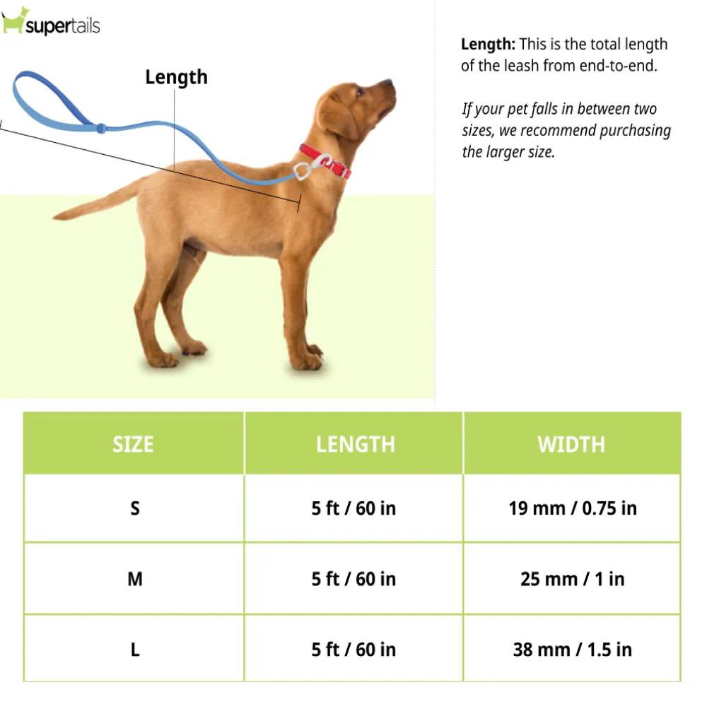 Tails to Tell Tactical Polyester Leash for Dogs (Blue)