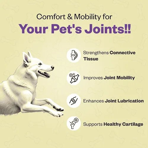TailsAlive Hip & Joint Chicken Flavor Soft Chews Supplements for Dogs
