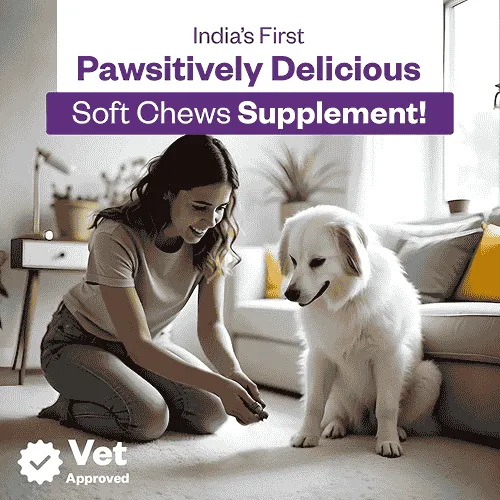 TailsAlive Hip & Joint Chicken Flavor Soft Chews Supplements for Dogs