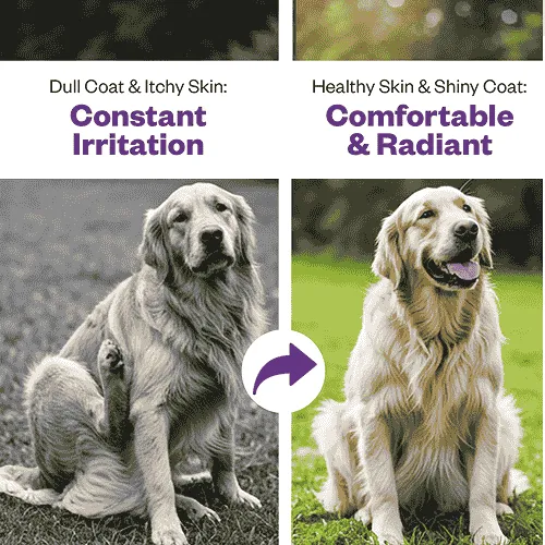 TailsAlive Skin & Coat Soft Chews Supplement for Dogs
