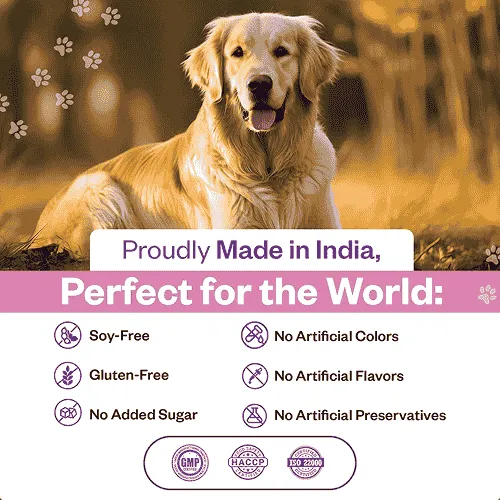 TailsAlive Skin & Coat Soft Chews Supplement for Dogs