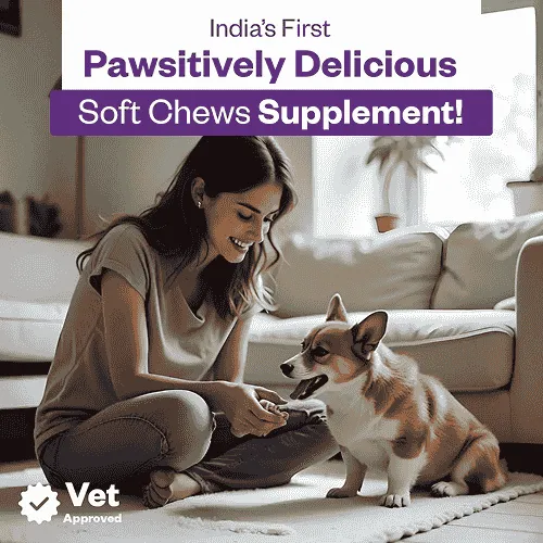 TailsAlive Skin & Coat Soft Chews Supplement for Dogs