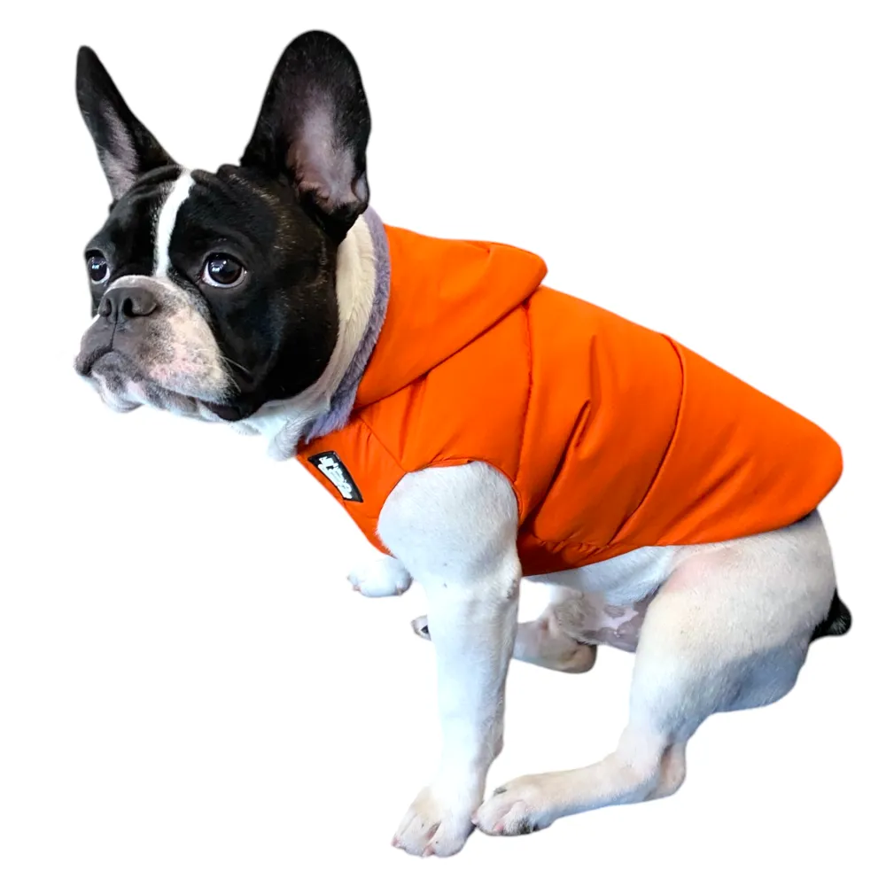 Talking Dog Club Bomber Jacks Hoodies for Dogs (Orange)