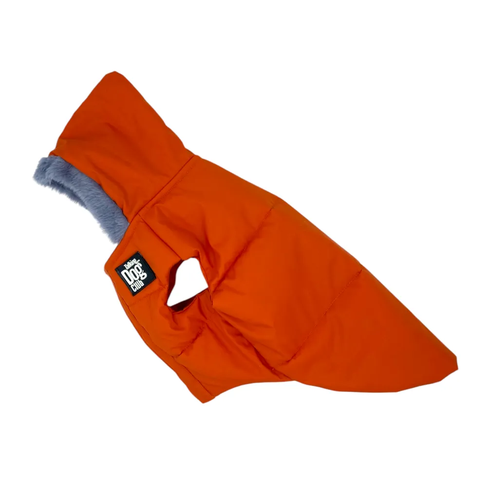 Talking Dog Club Bomber Jacks Hoodies for Dogs (Orange)