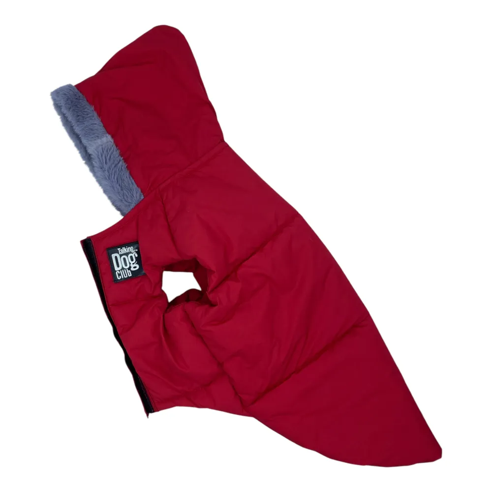 Talking Dog Club Bomber Jacks Hoodies for Dogs (Red)