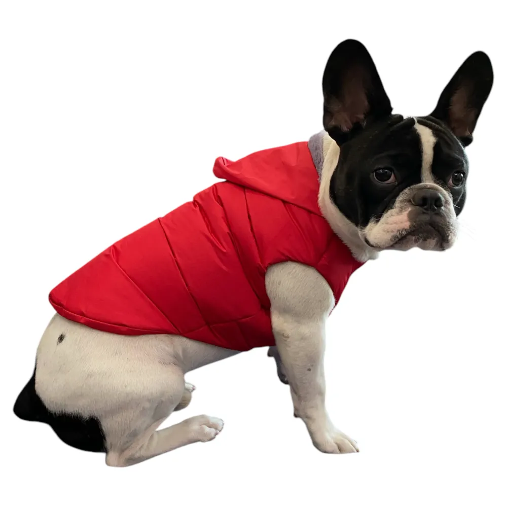 Talking Dog Club Bomber Jacks Hoodies for Dogs (Red)
