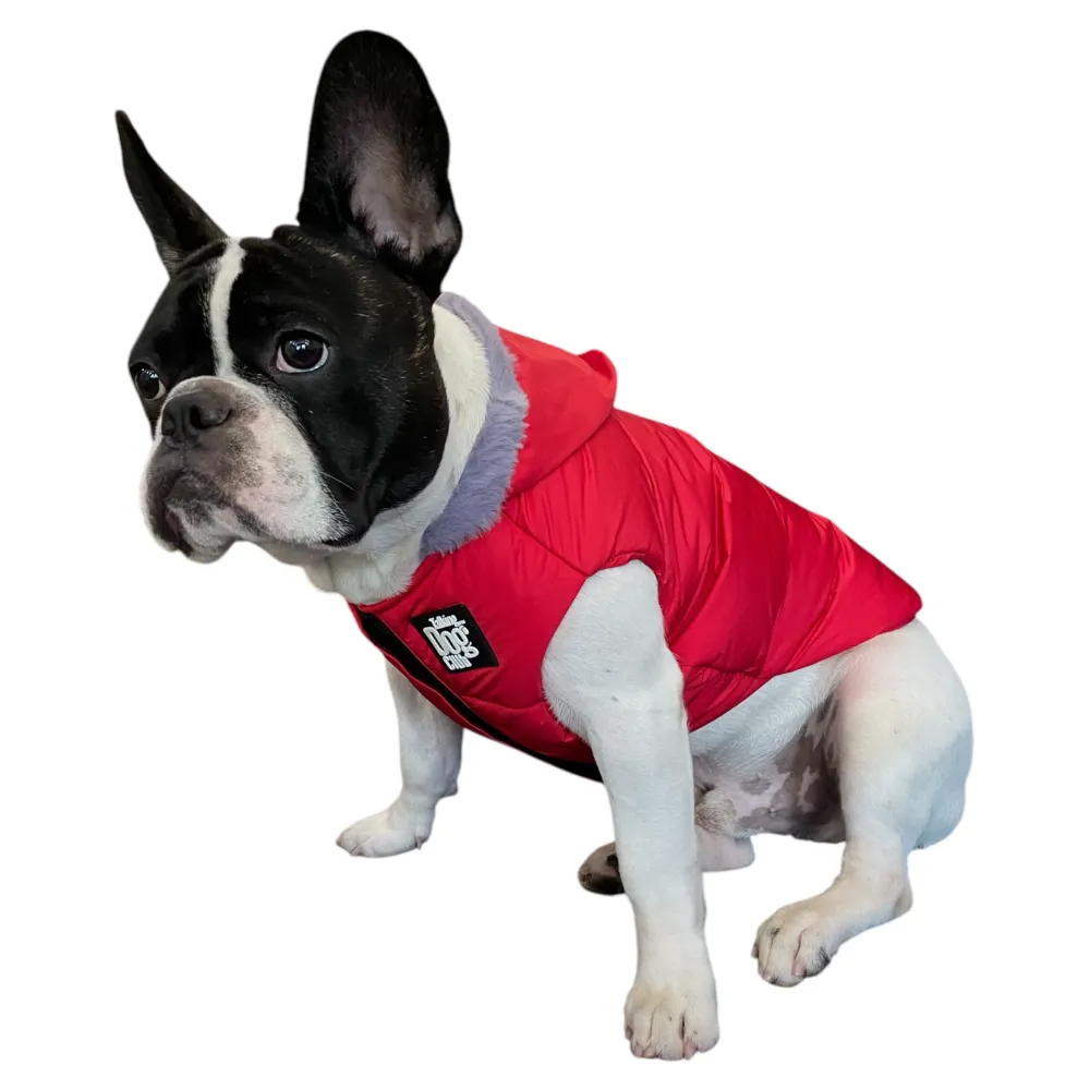 Talking Dog Club Bomber Jacks Hoodies for Dogs (Red)