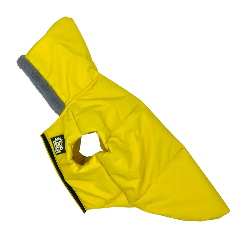 Talking Dog Club Bomber Jacks Hoodies for Dogs (Yellow)