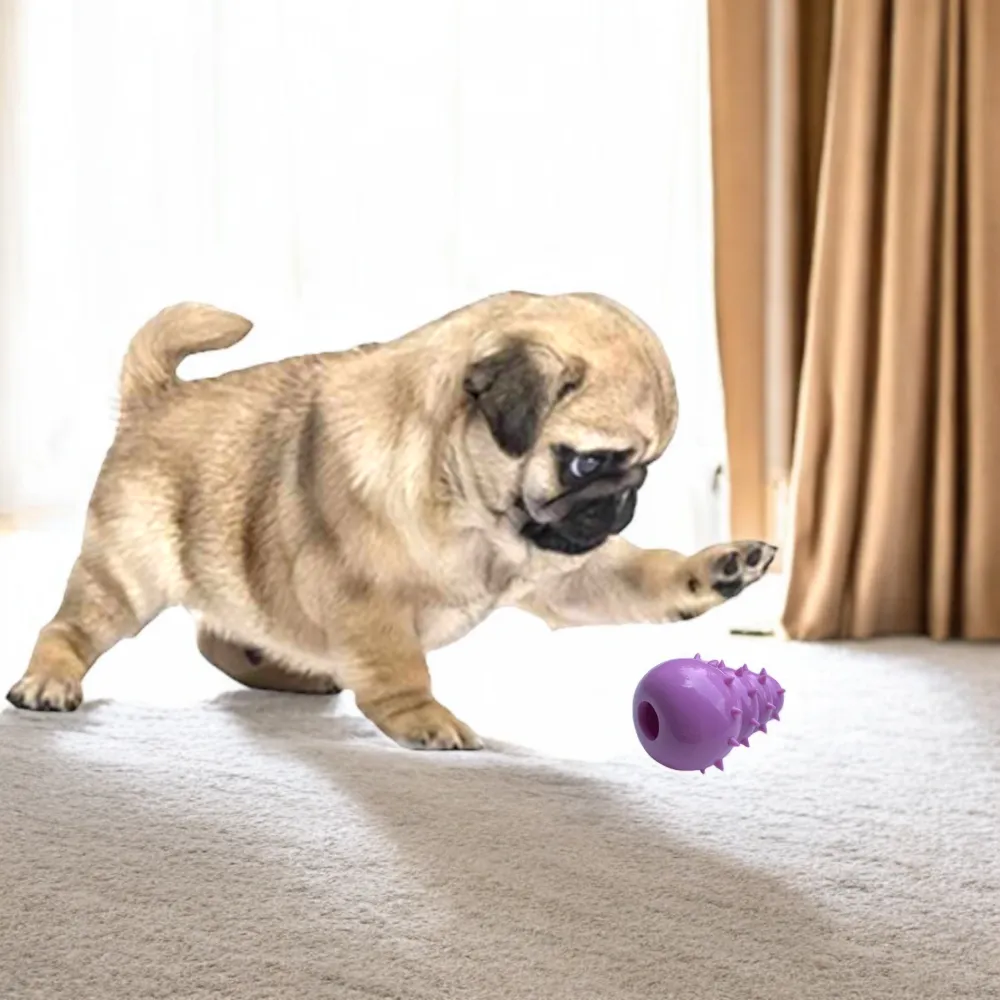 Talking Dog Club First Puppy Toy Set for Dogs (Multicolour)