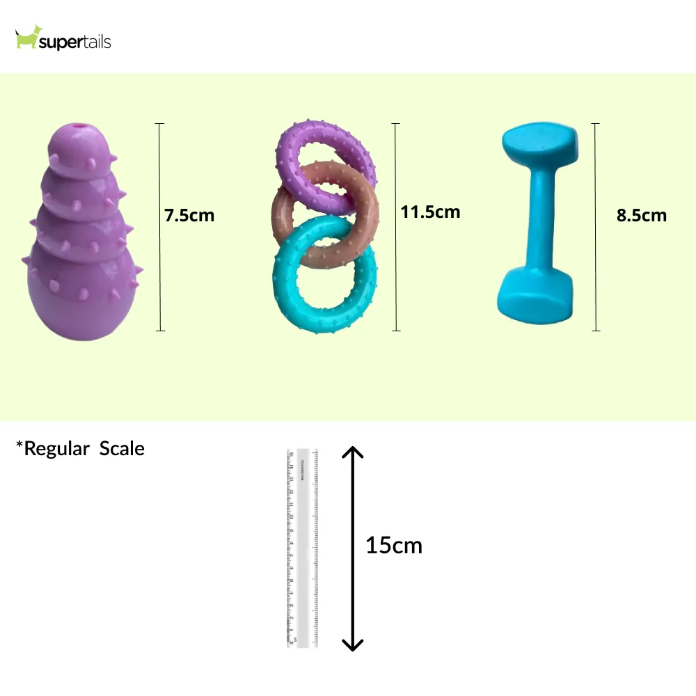 Talking Dog Club First Puppy Toy Set for Dogs (Multicolour)