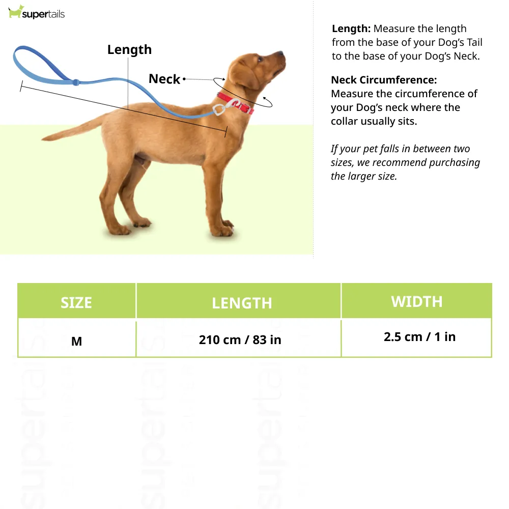 Talking Dog Club Multifunction Handsfree Leash for Dogs (Blue)