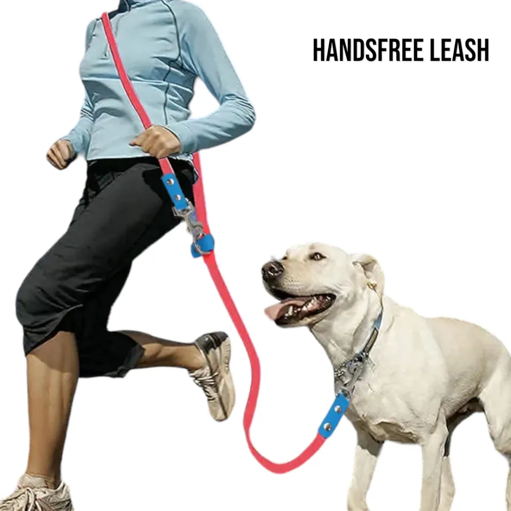 Talking Dog Club Multifunction Handsfree Leash for Dogs (Orange)