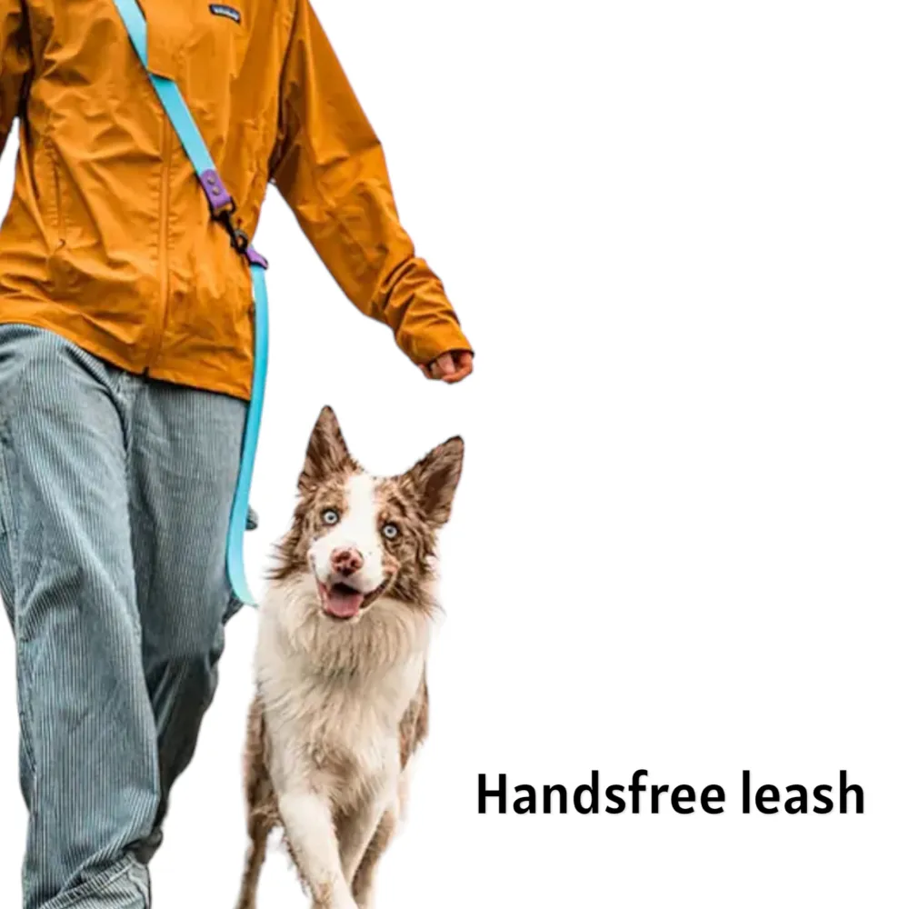 Talking Dog Club Multifunction Handsfree Leash for Dogs (Orange)