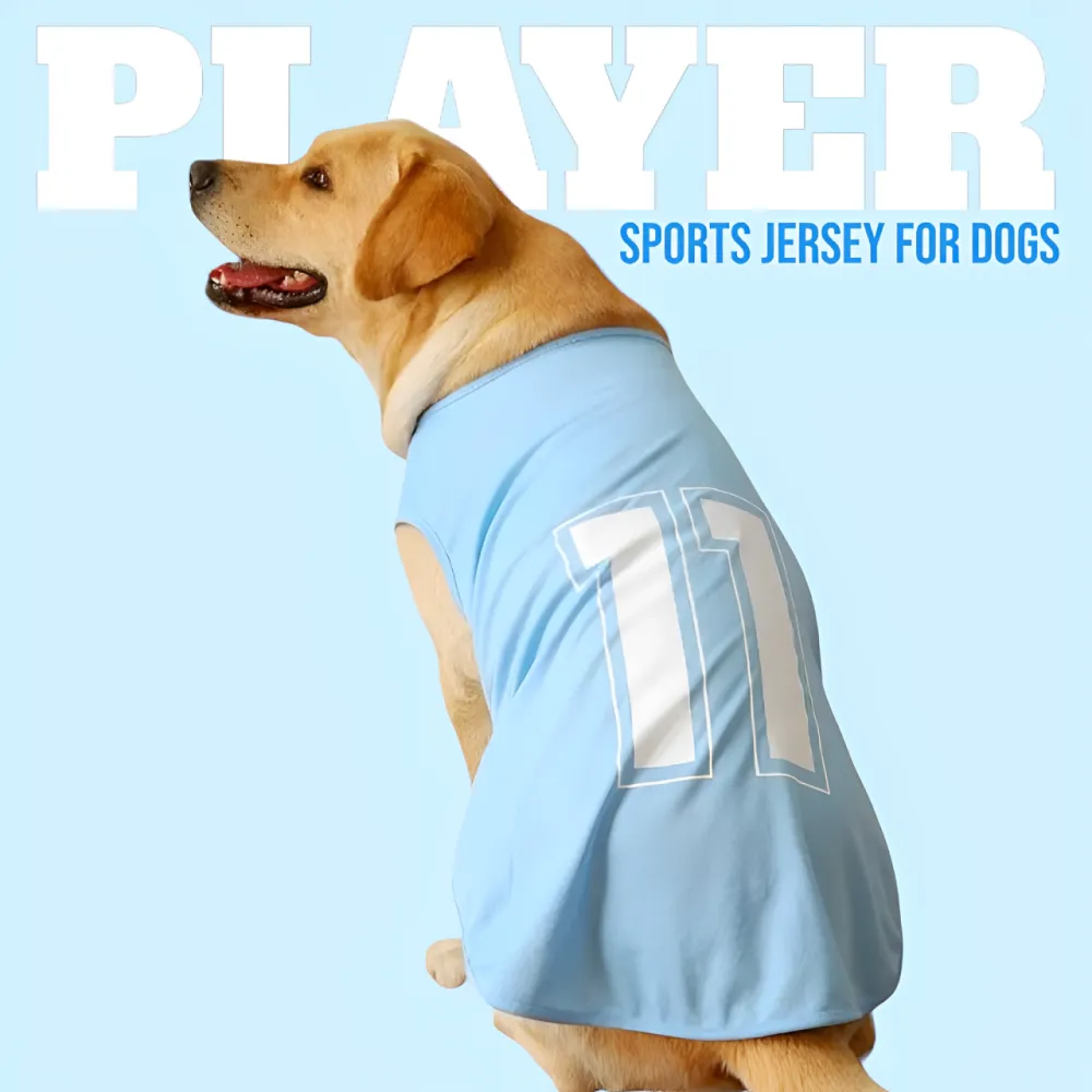 Talking Dog Club Player Ltd Edition Sports Jersey for Dogs (Blue)