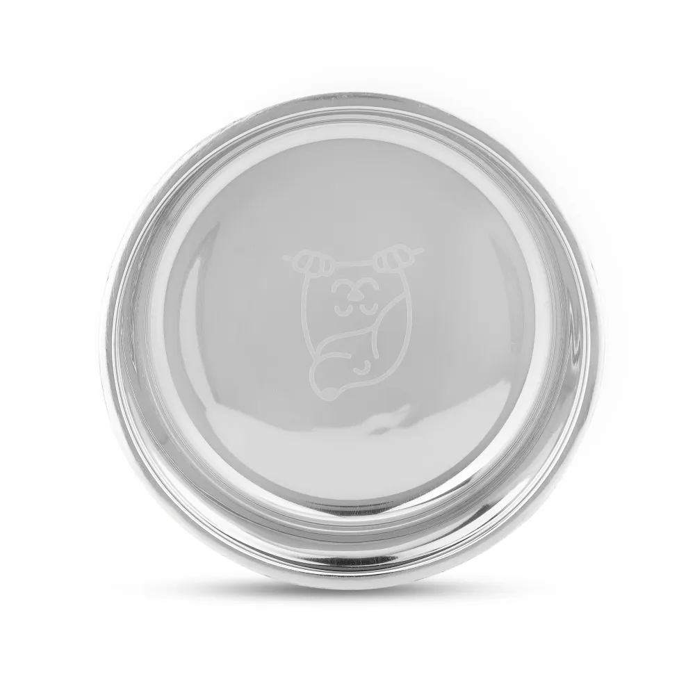 The Happy Lots Double Wall Bowl With Anti Skid Base for Dogs and Cats (Sky Blue)