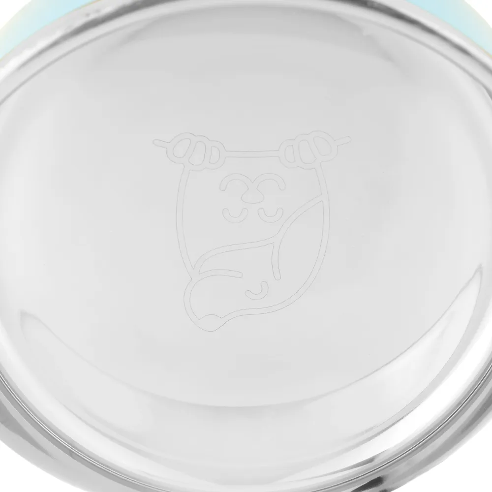 The Happy Lots Double Wall Bowl With Anti Skid Base for Dogs and Cats (Sky Blue)