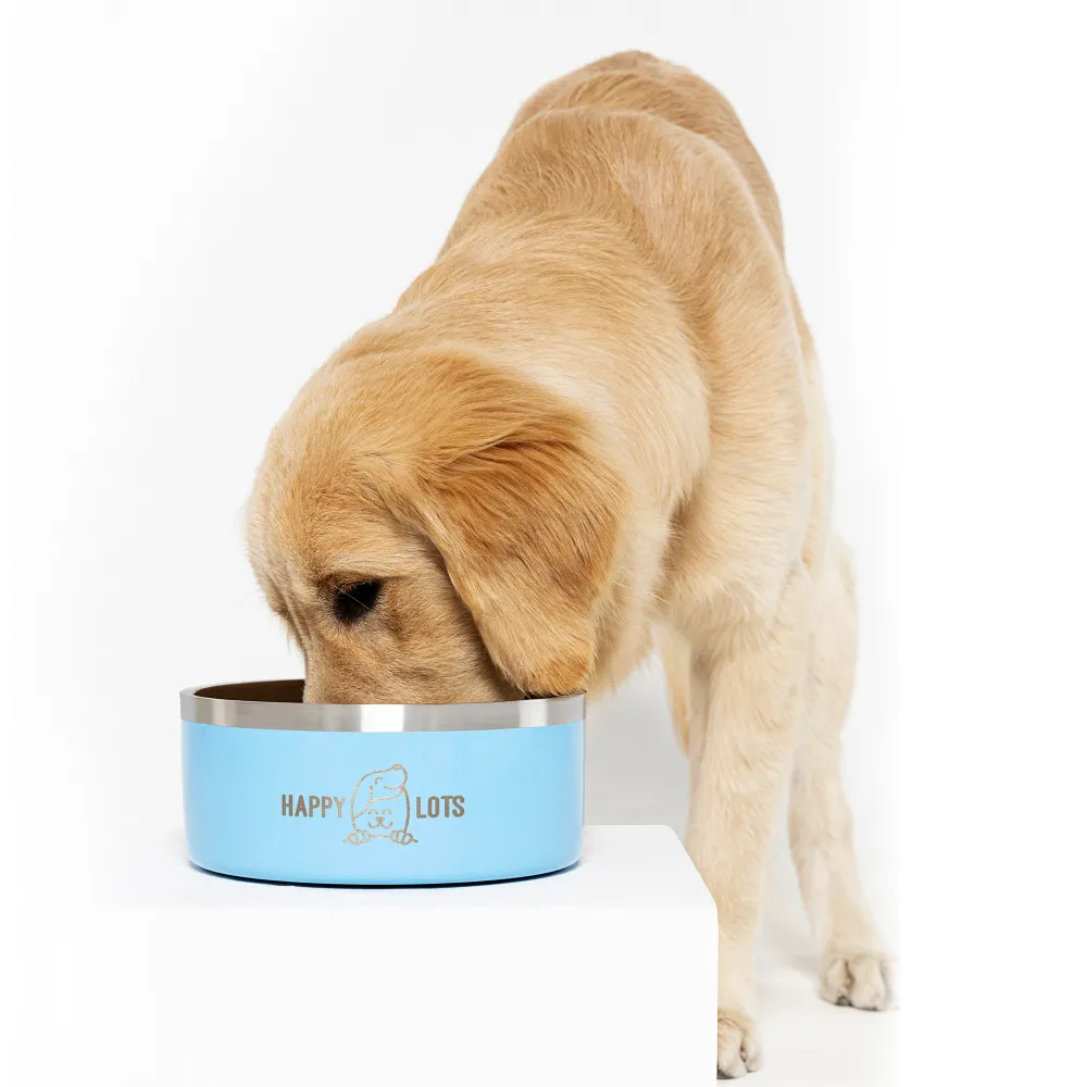The Happy Lots Double Wall Bowl With Anti Skid Base for Dogs and Cats (Sky Blue)