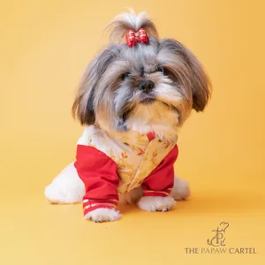 The Papaw Cartel Brocade Zari Koti With Gotapati Kurta For Dogs (White and Red)