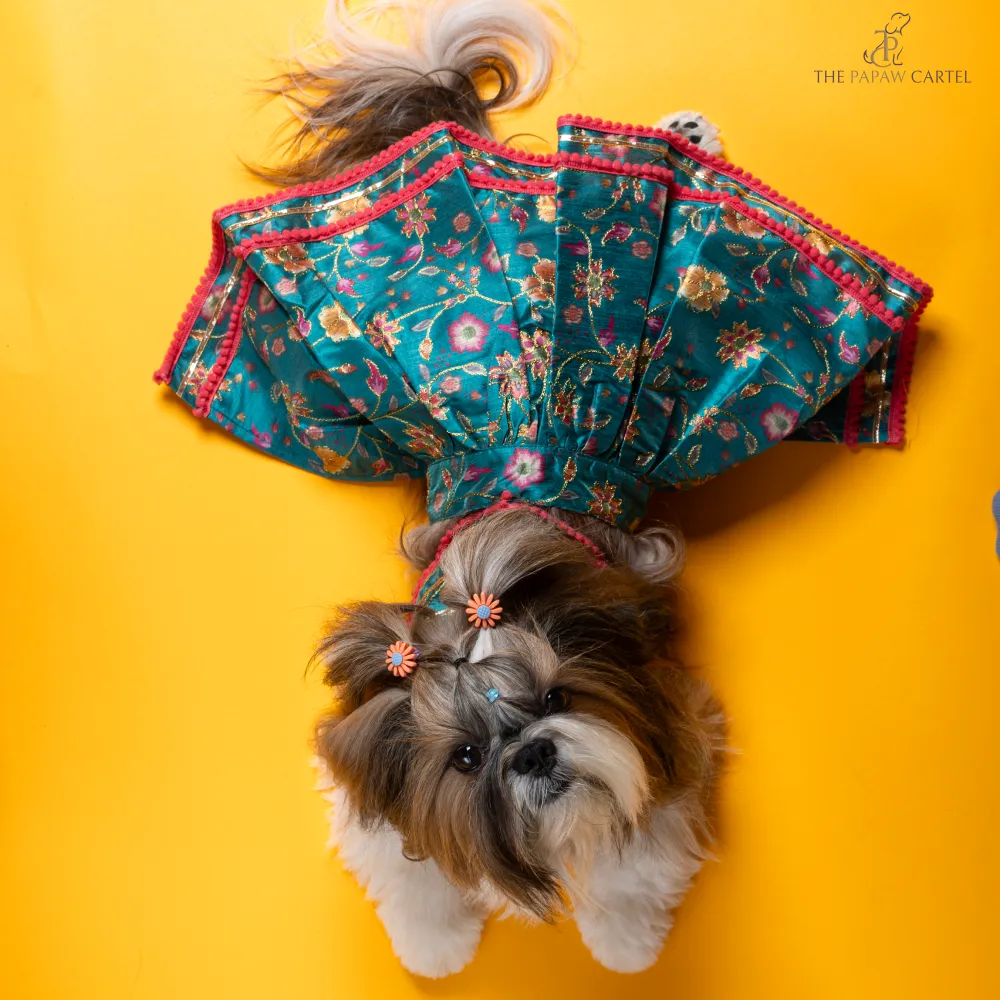 The Papaw Cartel Dil Rooba Floral Ghagra Choli for Dogs (Teal)