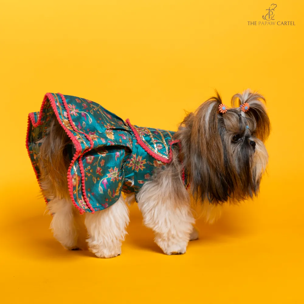 The Papaw Cartel Dil Rooba Floral Ghagra Choli for Dogs (Teal)