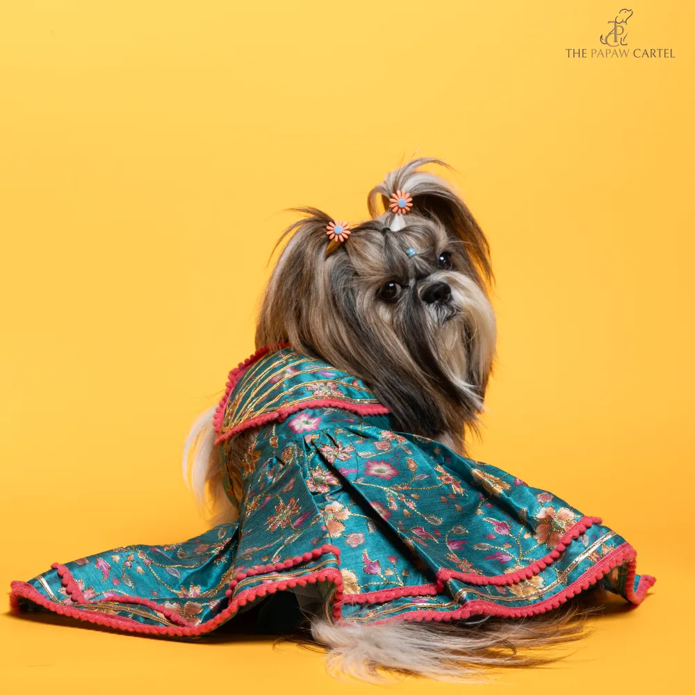 The Papaw Cartel Dil Rooba Floral Ghagra Choli for Dogs (Teal)