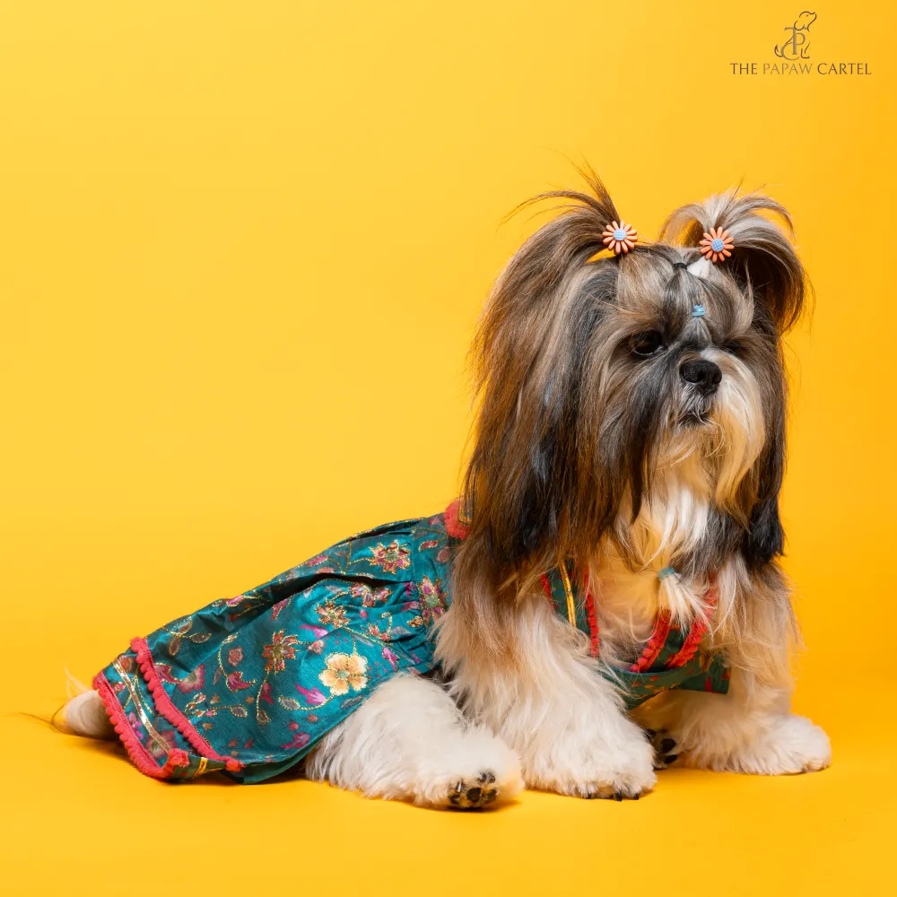 The Papaw Cartel Dil Rooba Floral Ghagra Choli for Dogs (Teal)