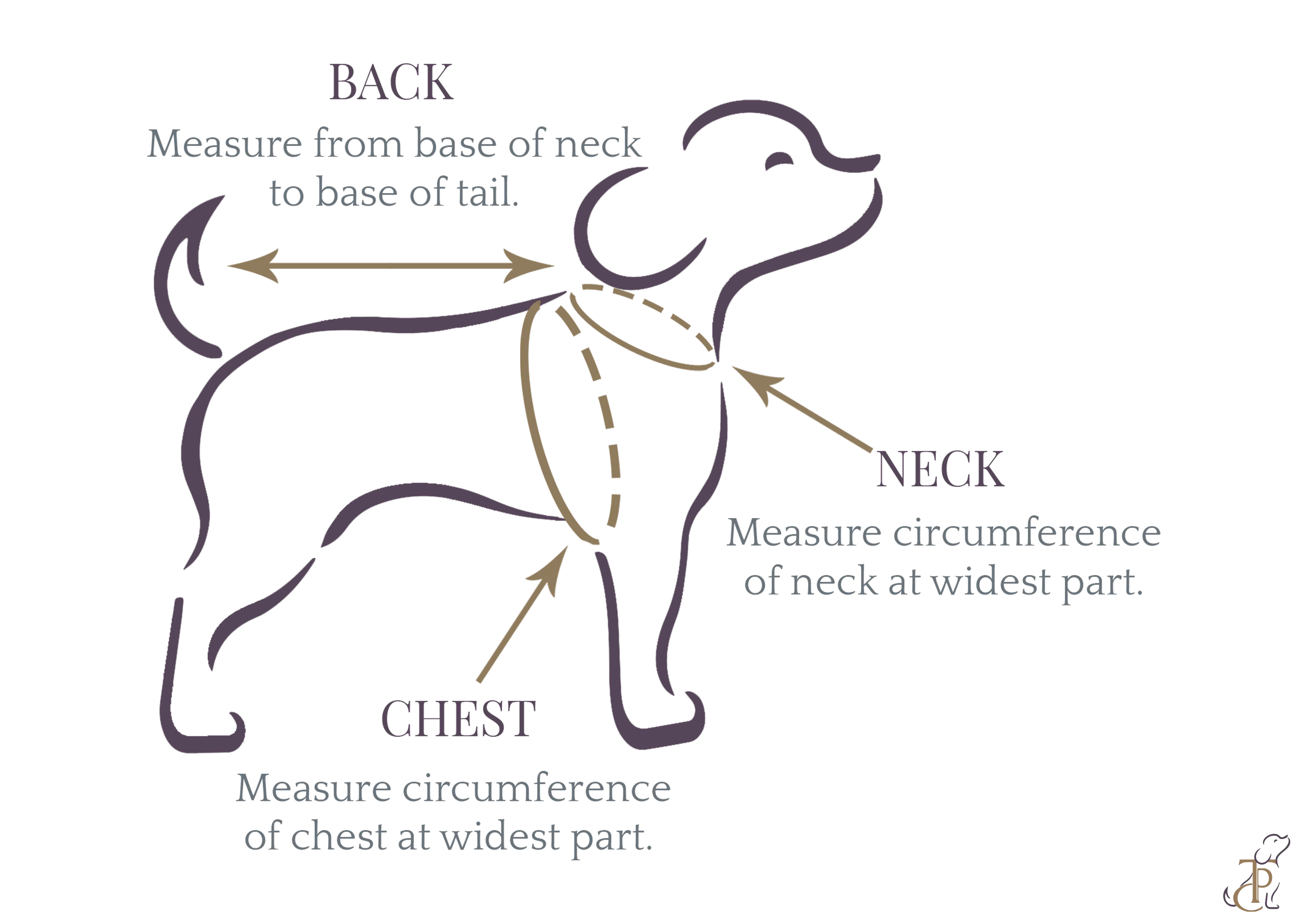 The Papaw Cartel Double Layered Gotapatti Ethnic Frock for Dogs (Purple)