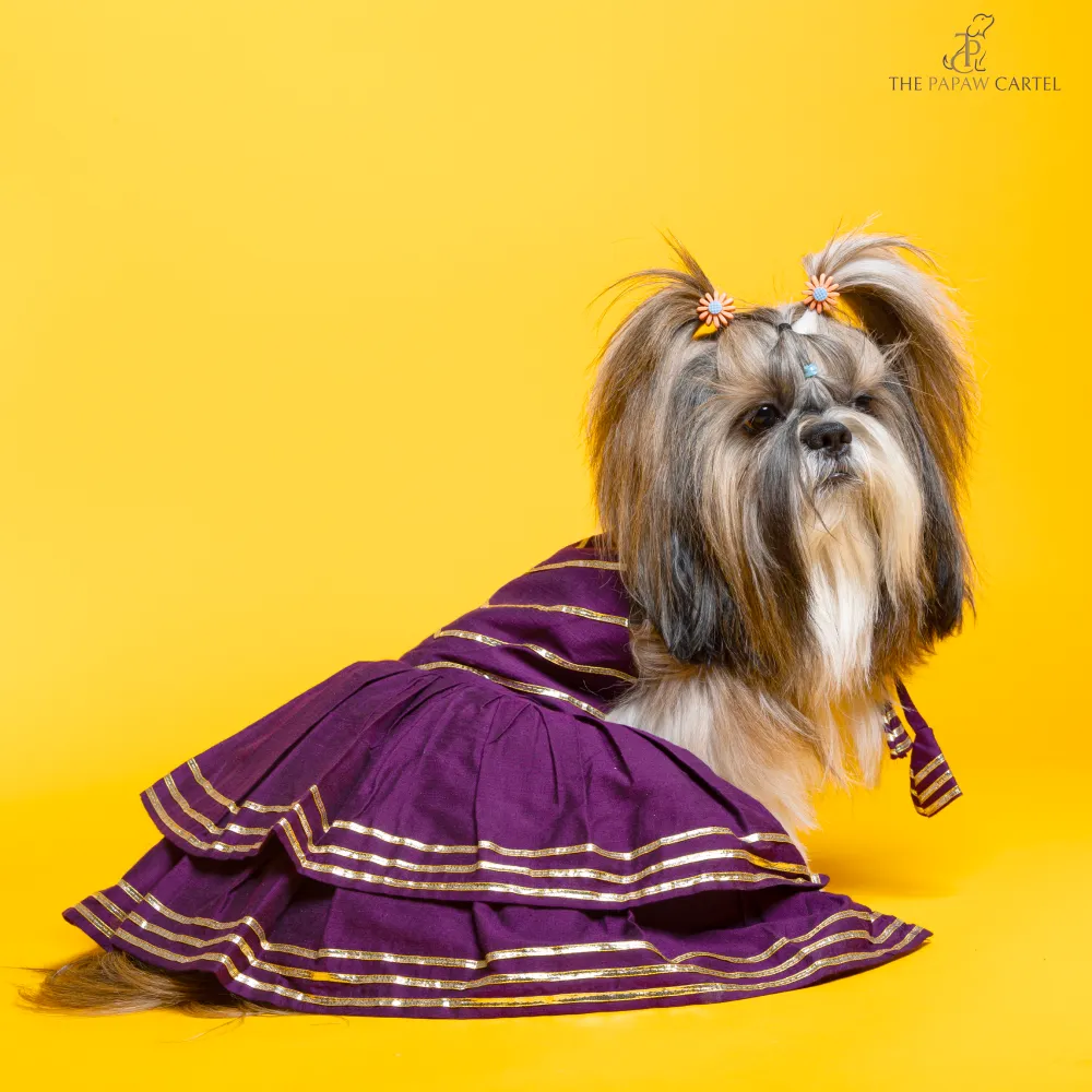 The Papaw Cartel Double Layered Gotapatti Ethnic Frock for Dogs (Purple)