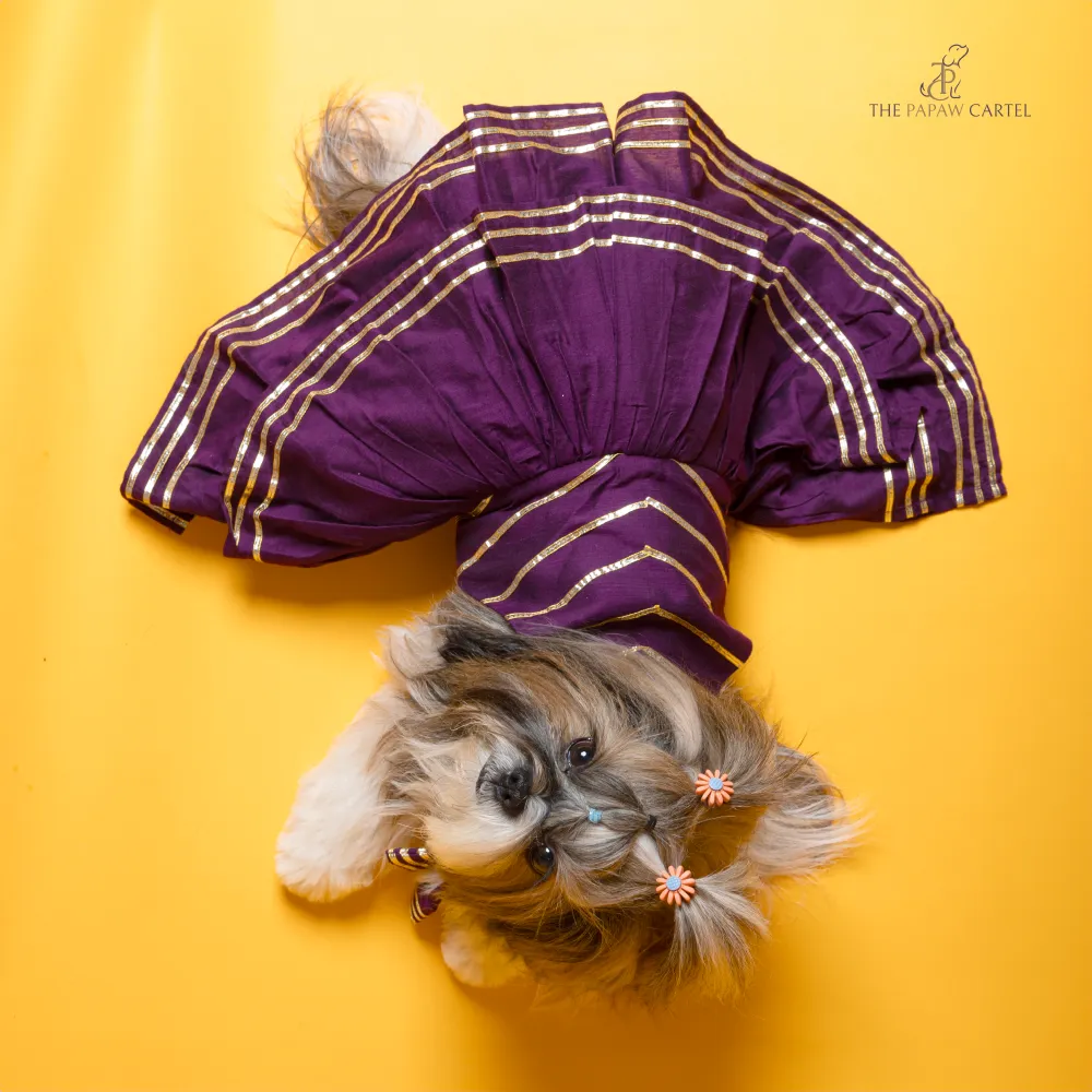 The Papaw Cartel Double Layered Gotapatti Ethnic Frock for Dogs (Purple)
