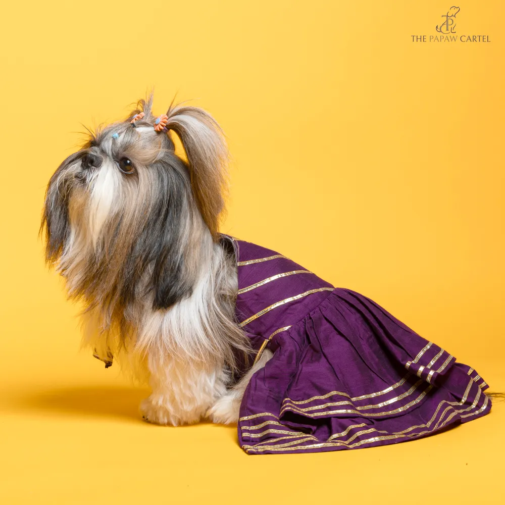 The Papaw Cartel Double Layered Gotapatti Ethnic Frock for Dogs (Purple)