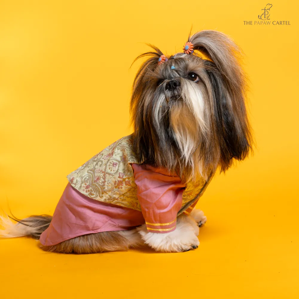 The Papaw Cartel Floral Embroidered Koti and Kurta set for Dogs (Pink)