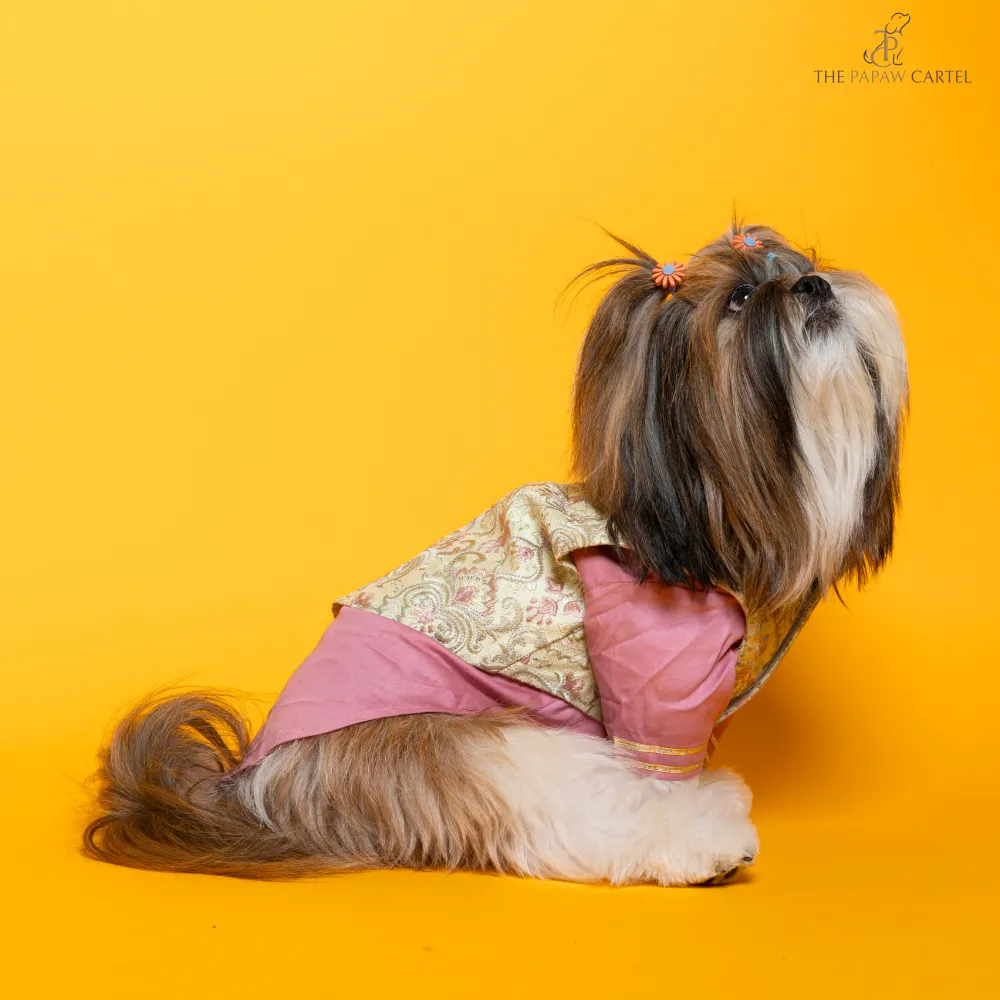 The Papaw Cartel Floral Embroidered Koti and Kurta set for Dogs (Pink)