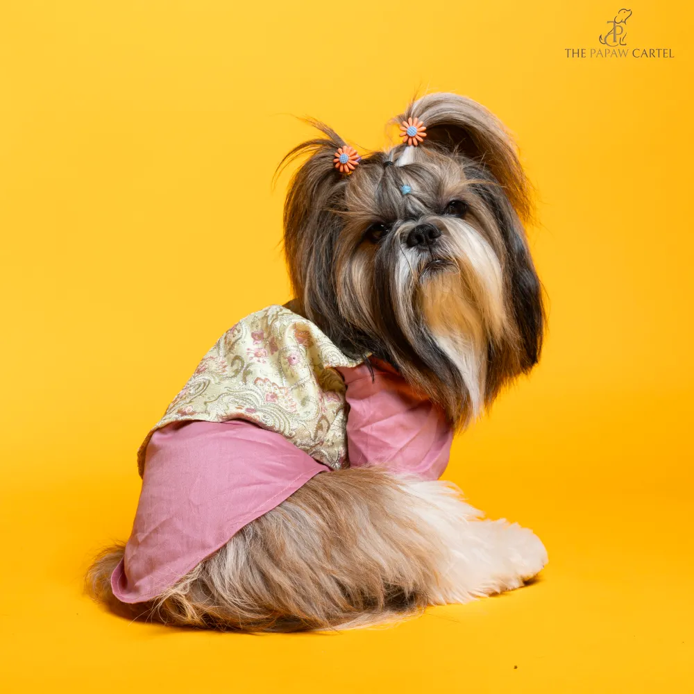 The Papaw Cartel Floral Embroidered Koti and Kurta set for Dogs (Pink)